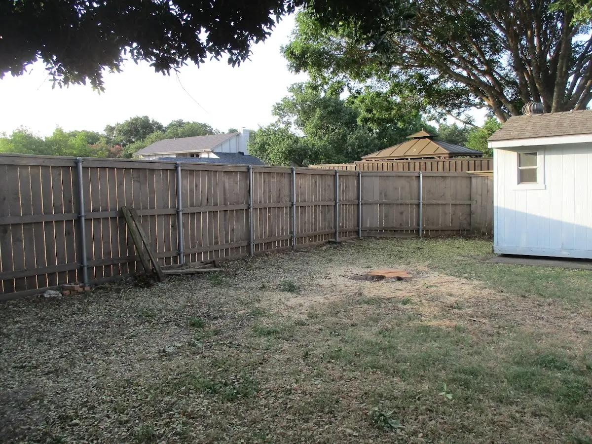 Cleared yard after professional tree removal in Easton